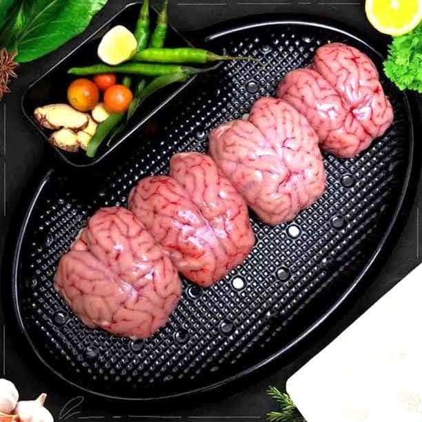 Brain